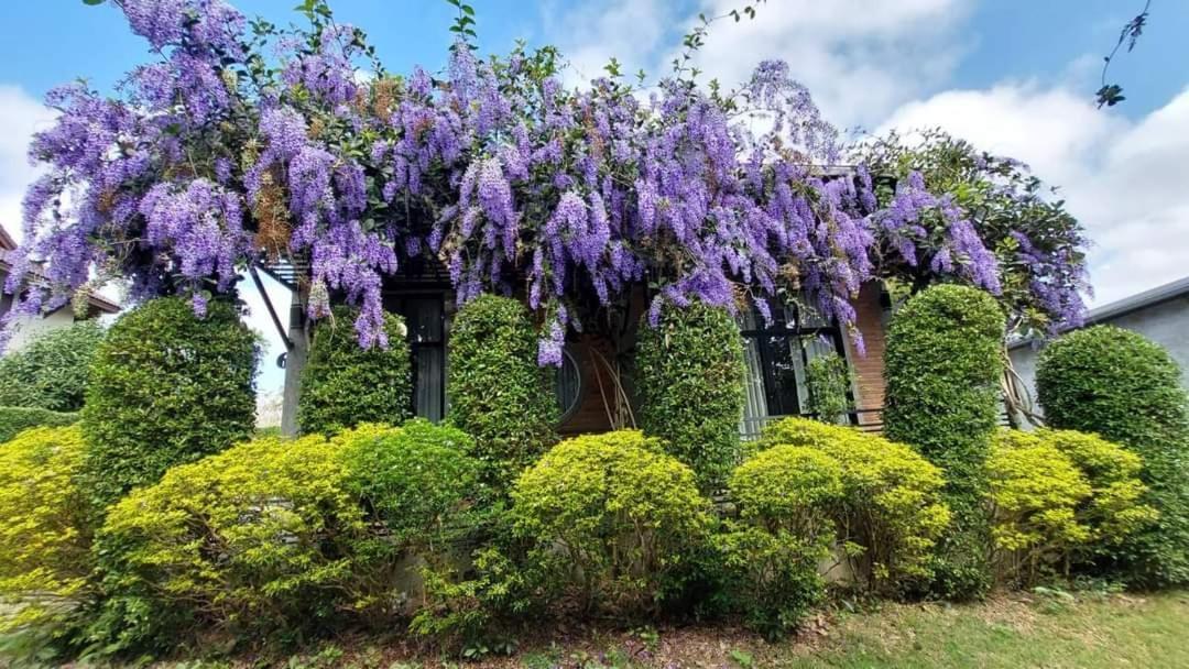 Casa Foresta 난 외부 사진